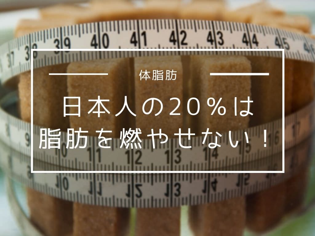 遺伝子タイプがダイエットのカギ！日本人の20％は脂肪を燃やせないって知ってた⁈