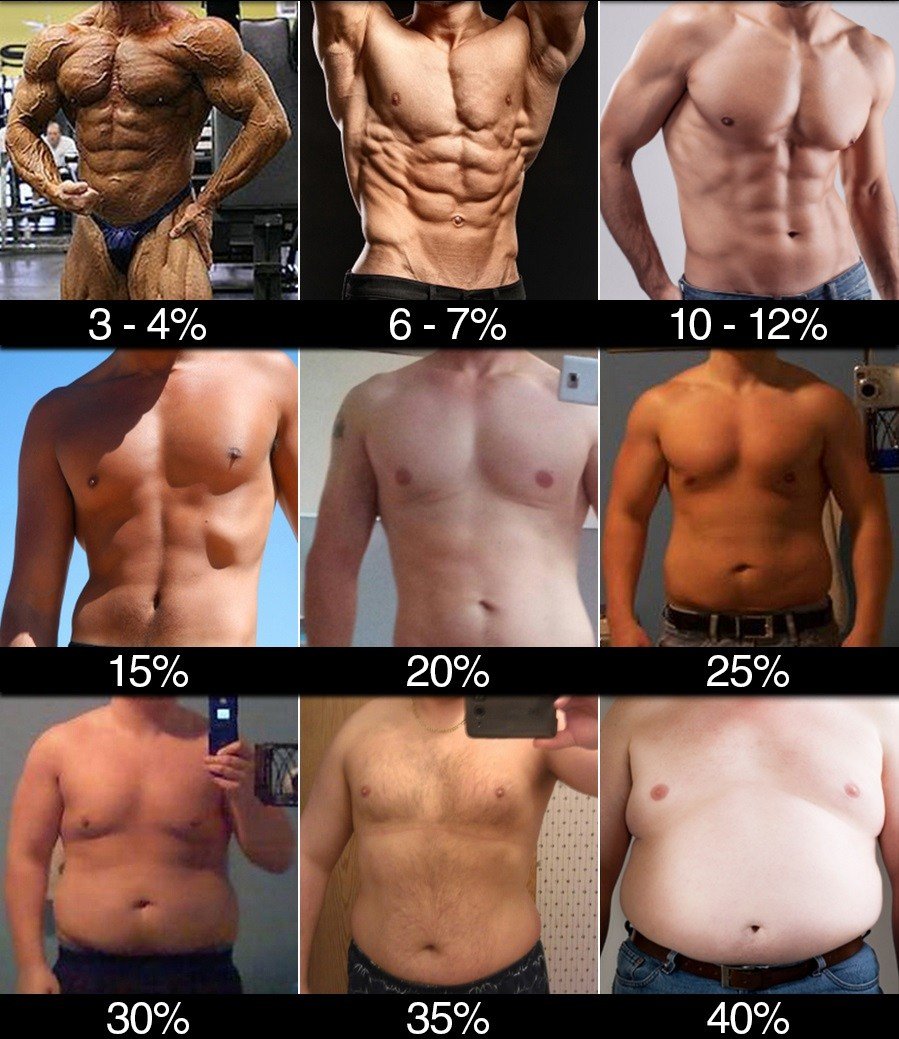 体脂肪率と体｜男性