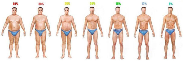 体脂肪率（男性）